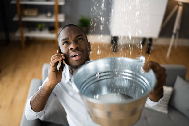 Best Ceiling water damage repair  in Fairborn, OH