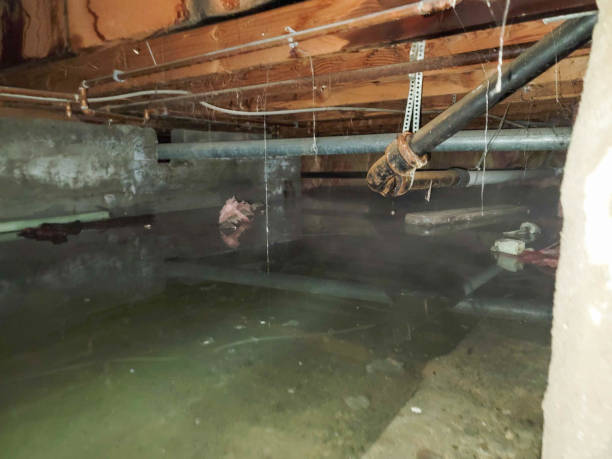 Best Emergency water damage restoration  in Fairborn, OH