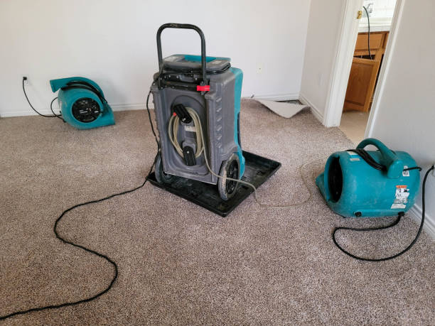 Best Water damage restoration near me  in Fairborn, OH