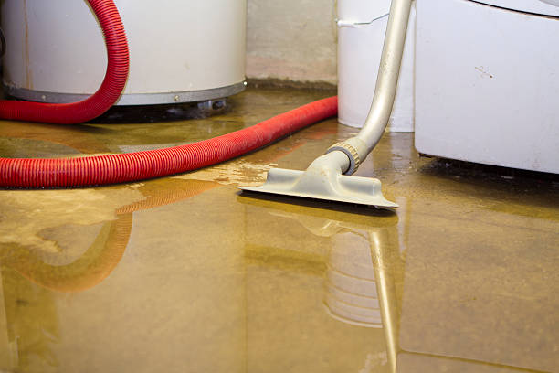Water damage restoration mold remediation in Fairborn, OH
