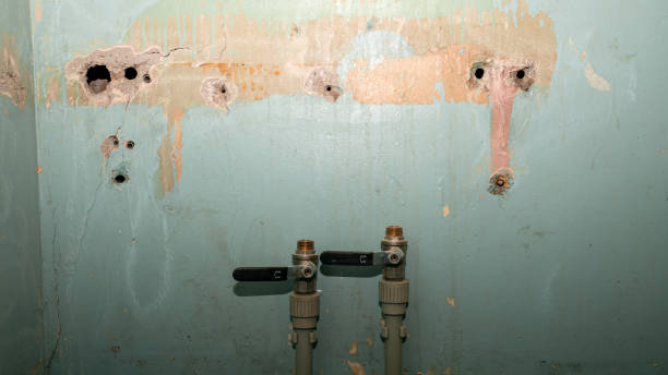 Best Sewage cleanup and water damage restoration  in Fairborn, OH