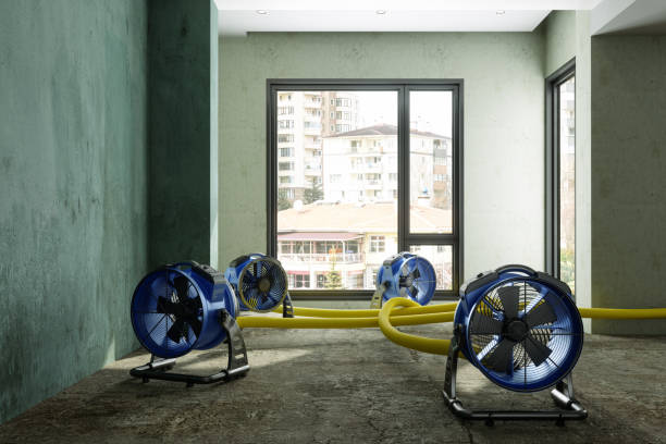 Best 24/7 water damage repair  in Fairborn, OH