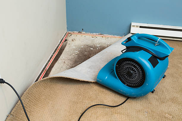 Water damage restoration insurance claims in Fairborn, OH
